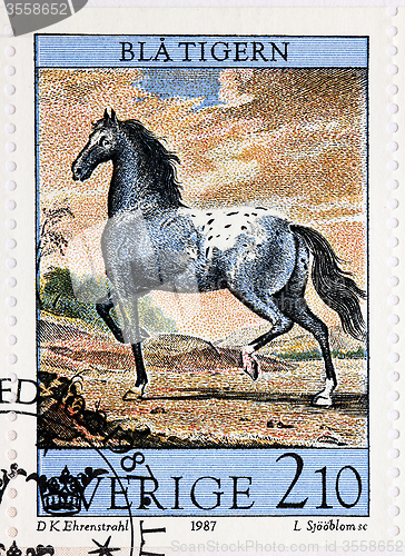 Image of Horse Stamp