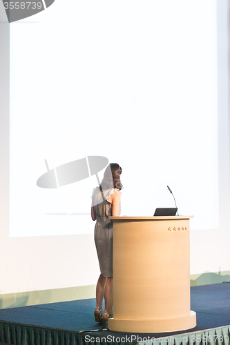 Image of Business woman making business presentation.