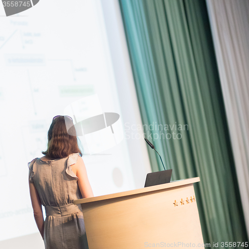 Image of Business woman making business presentation.