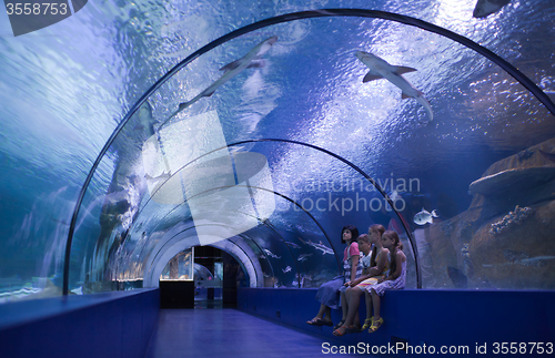 Image of Family in a water tunnel