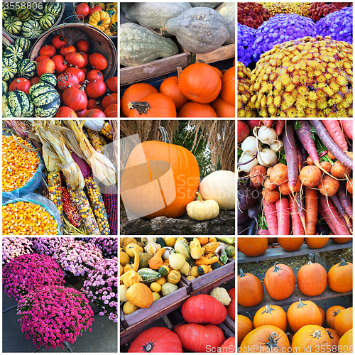 Image of Autumn market collage