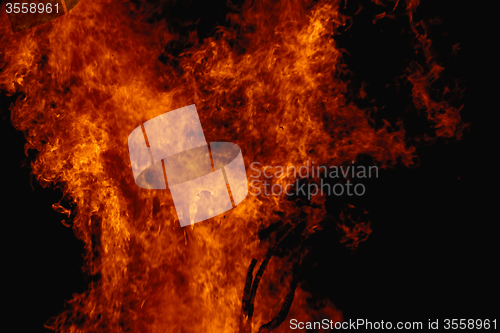 Image of Campfire flames