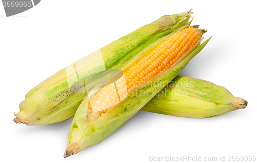 Image of Three cross lying corn cob