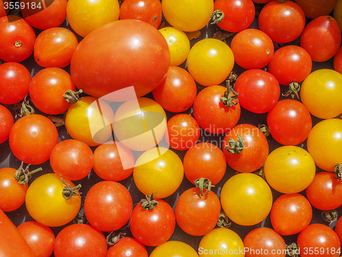 Image of Cherry tomato vegetables