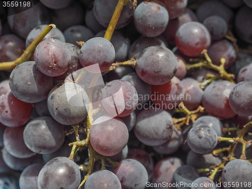 Image of Red grape fruits