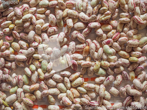 Image of Crimson beans vegetables background