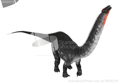 Image of Dinosaur Apatosaurus