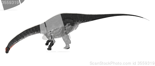 Image of Dinosaur Apatosaurus