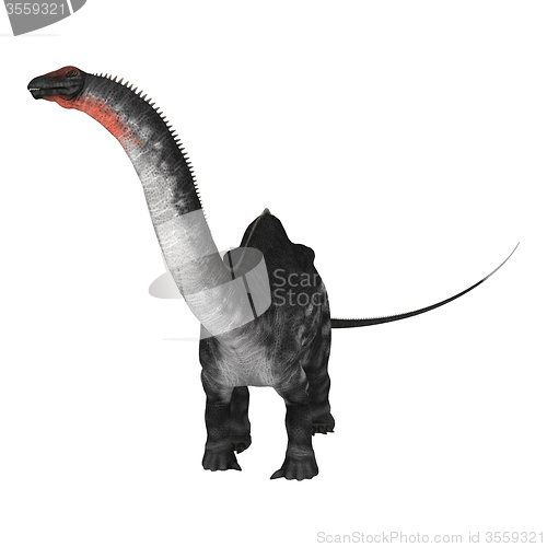 Image of Dinosaur Apatosaurus