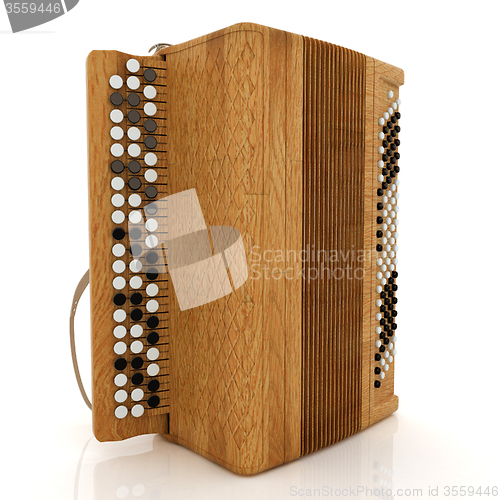 Image of Musical instrument - retro bayan