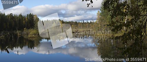 Image of Panorama of beautiful swamp in taiga