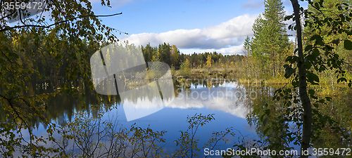 Image of Beautiful swamp in nothern taiga