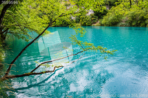 Image of Clear water of Plitvice Lakes, Croatia