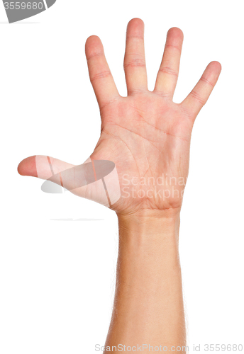 Image of Man hand