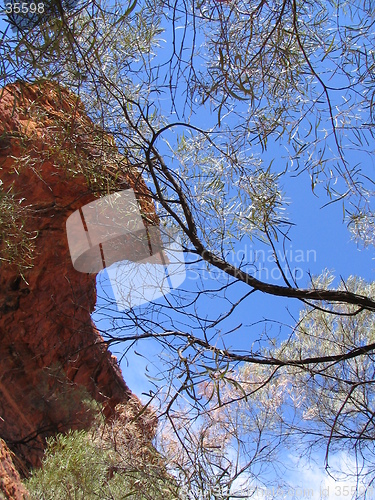 Image of Kings Canyon red rock