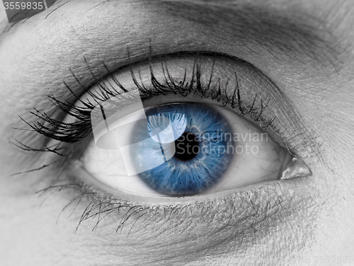 Image of Woman eye