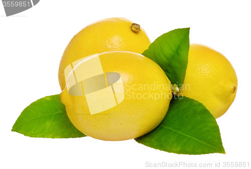 Image of Fresh lemon