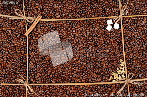 Image of Coffee beans