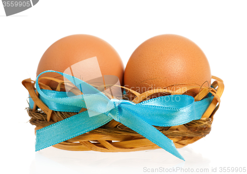 Image of Eggs in nest