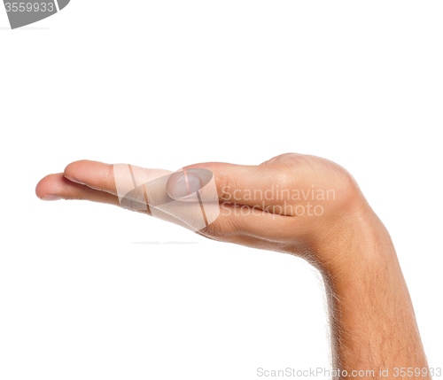 Image of Man hand