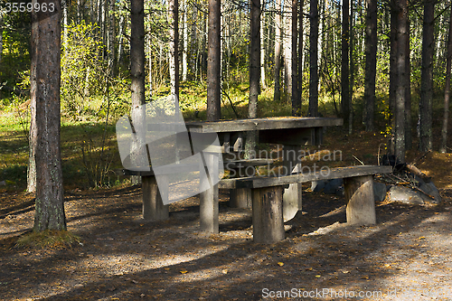 Image of Wooden table and benches in the forest