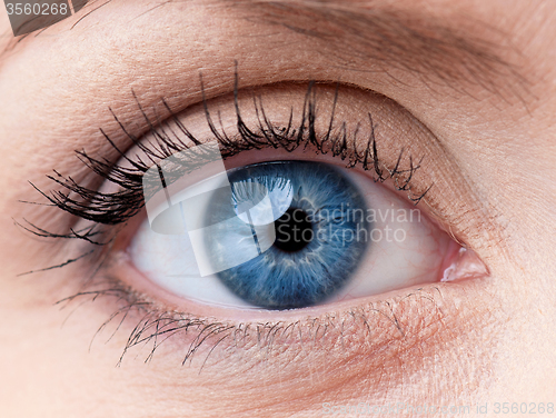 Image of Woman eye