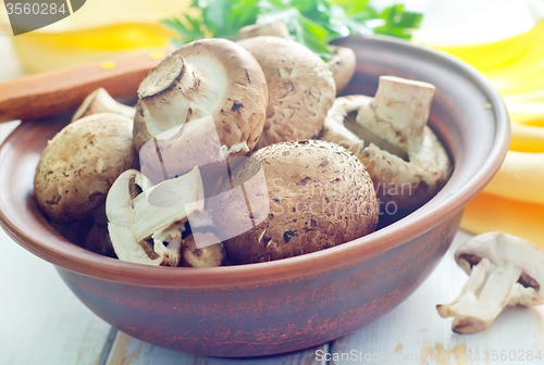 Image of mushroom