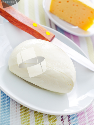 Image of fresh cheese on the white plate