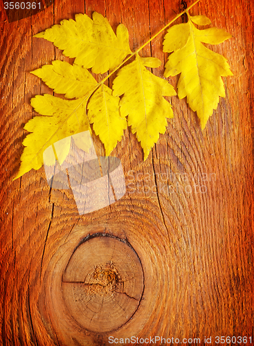 Image of Yellow leaves on the wooden table