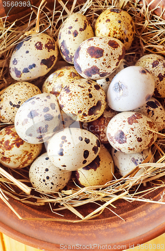 Image of raw guail eggs