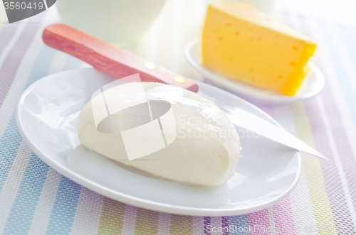 Image of fresh cheese on the white plate