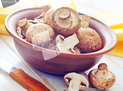 Image of mushroom