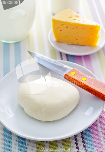 Image of fresh cheese on the white plate