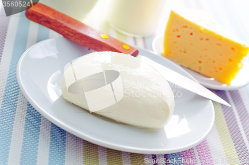 Image of fresh cheese on the white plate