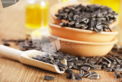 Image of sunflower seeds and oil