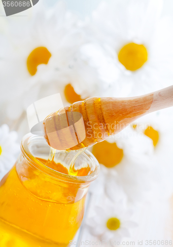 Image of fresh honey in the glass bank and camomiles