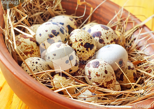 Image of raw guail eggs