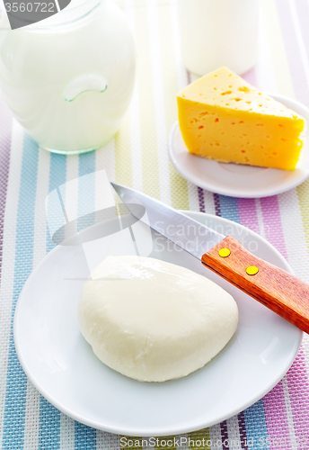 Image of fresh cheese on the white plate