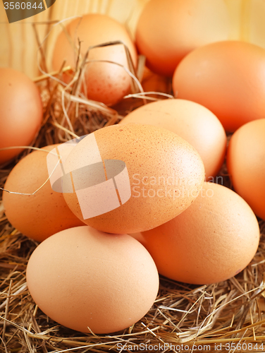 Image of Raw eggs