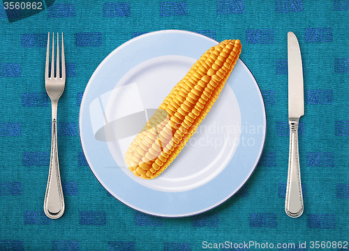 Image of corn on white plate