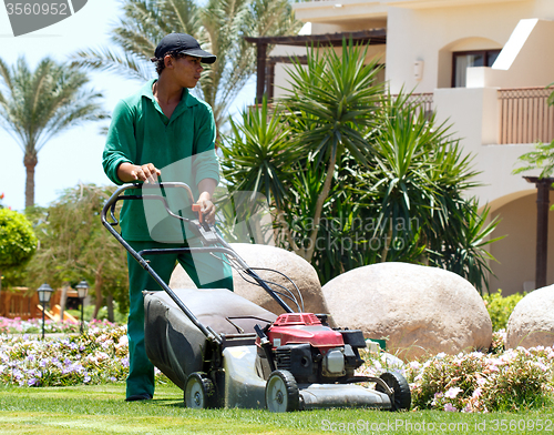 Image of Gardener with lawn mower