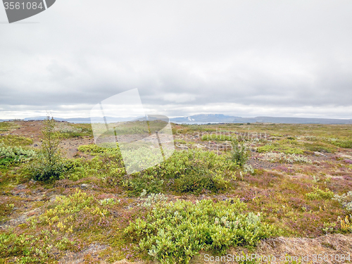 Image of landscape in Iceland