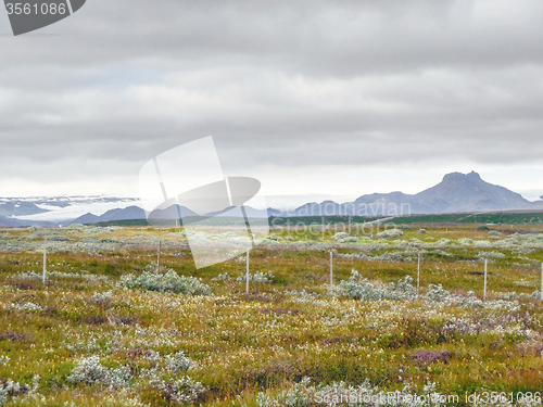 Image of landscape in Iceland