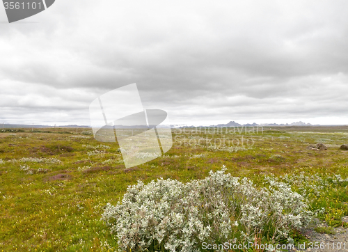 Image of landscape in Iceland