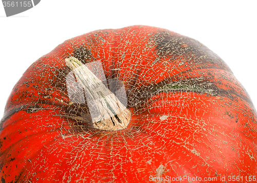 Image of Part of pumpkin isolated on white background