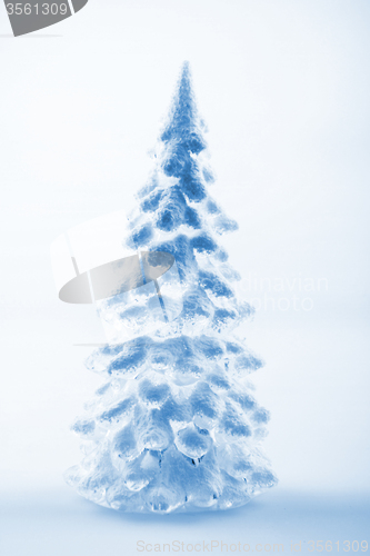Image of christmas tree from the plastic