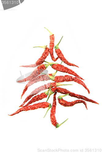 Image of christmas tree from hot spice 