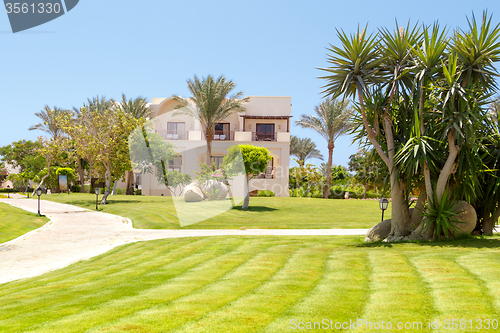 Image of Tropical garden