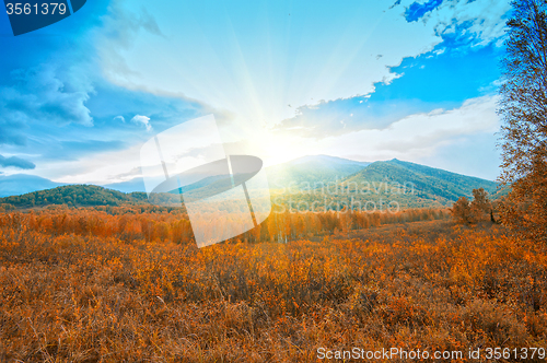 Image of taiga and mountains
