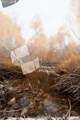 Image of Autumn river